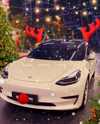 Lustige Weihnachtsdekoration fürs Auto mit Geweih